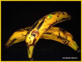 Bananes_plantains_web