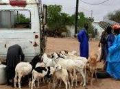 salon agricole local