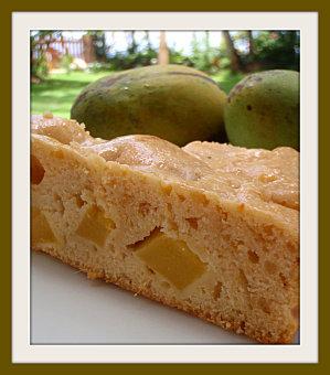Gâteau au lait de coco, mangue et chocolat blanc…trop, trop bon.