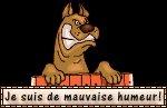 chien_mauvaise_humeur.jpg