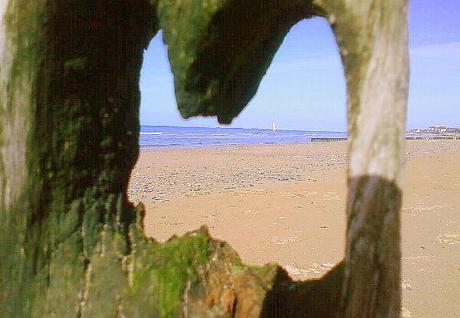 derniére dépêche...ceux qui nous quittent...en toute sereinité...la tâche...accomplie