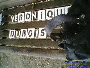 Ma ville en couleurs - Poème - Actualités - Véronique Dubois