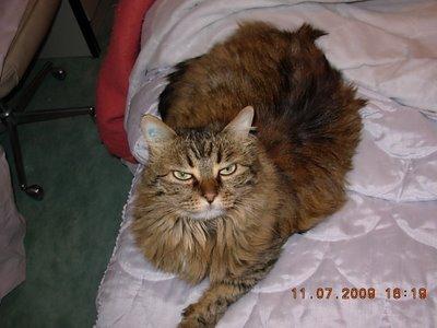 ils remettent greco ? Sérieux ^^