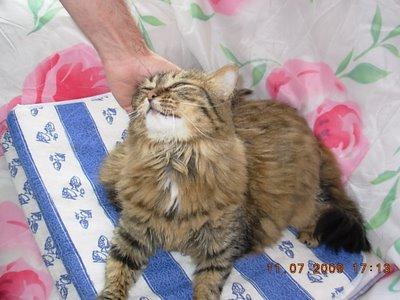 ils remettent greco ? Sérieux ^^