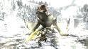 [Images] Monster Hunter 3 nous gèle sur place