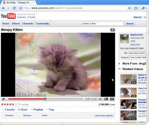 screenshot-youtube-sleepy-kitten-chromium-1
