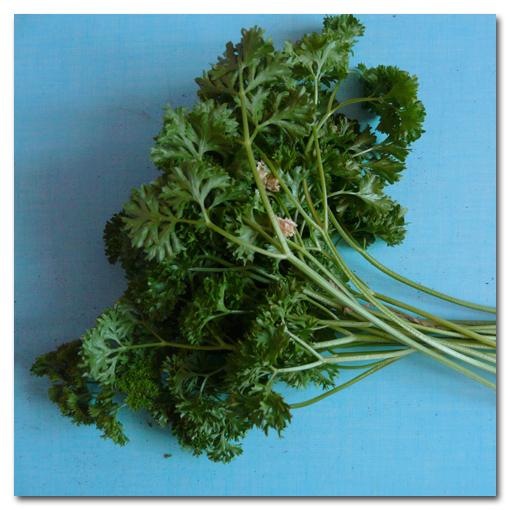 Inventaire Alimentaire |049|050|051|052|