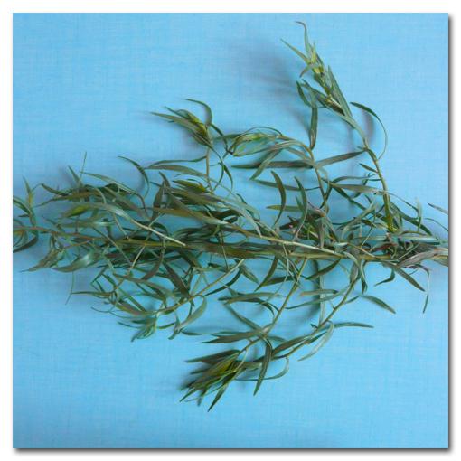 Inventaire Alimentaire |049|050|051|052|