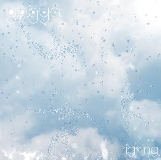 Bilan des sorties 2009