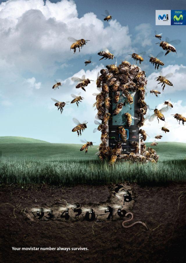 La pub du jour : La Grande Evasion sur votre Mobile [TV Mobile]