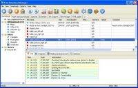 Free Download Manager V 3.0