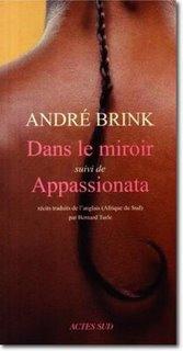 « Dans le miroir », d’André Brink