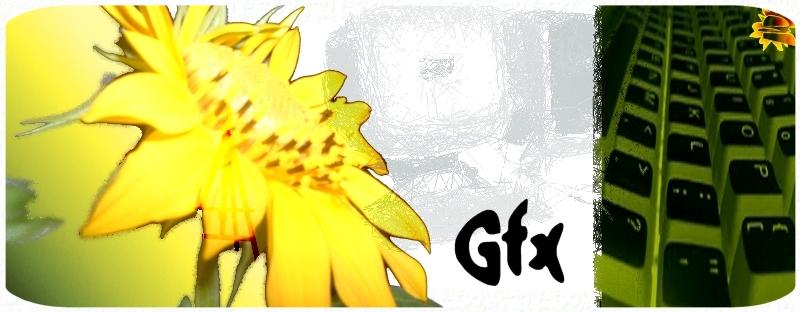 [Test 1-G] Gfx