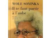 L'écrivain Wole Soyinka affirme soutien groupe armé, Mend