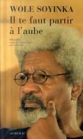L'écrivain Wole Soyinka affirme son soutien à un groupe armé, le Mend
