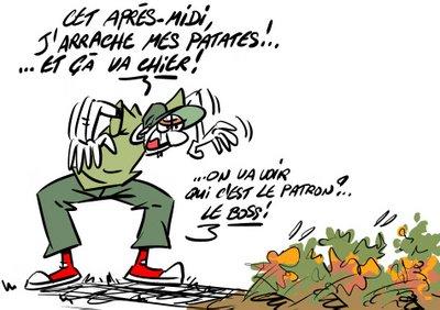 La peur des patates au fond du jardin...