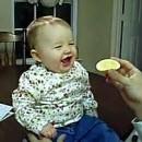 Bébé mange du citron
