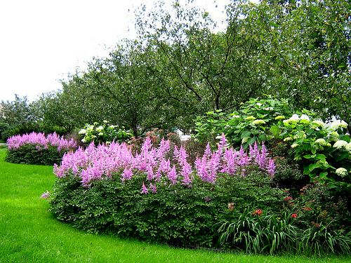 Planetarium Montreal , Blog Nadia Vraie et son tag vert