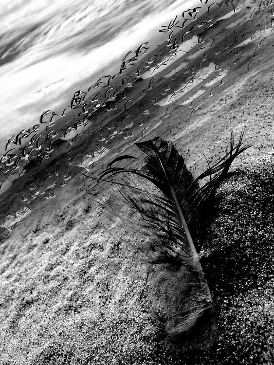 Autoportrait à la plume - Takala.jpg