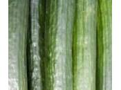 Concombre cornichons