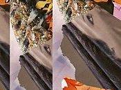 Août temps Acrostiche Véronique Dubois