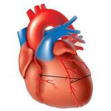 Tout va Bien - Bon rétablissement Monsieur Sarkozy