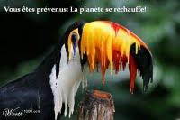 Coupure du son et de l'image.