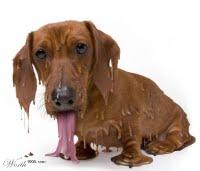 Coupure du son et de l'image.