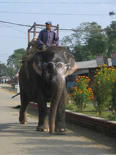 Carnet de voyage…dans le temps : Nepal 2008(4)