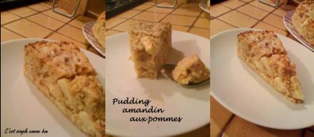pudding_amandin_aux_pommes_14