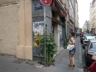 Végétalisation interventionniste à Lyon