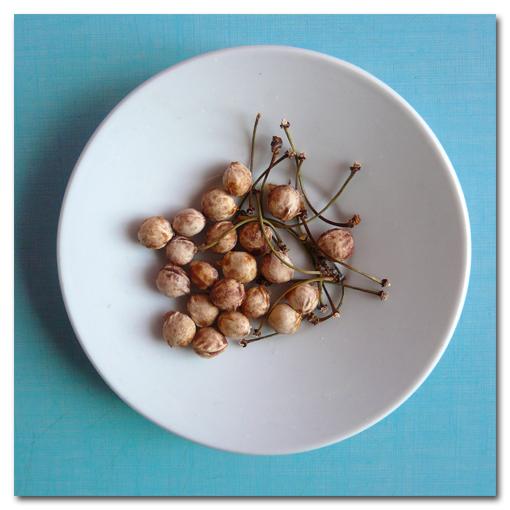 Inventaire Alimentaire |053|054|055|056|