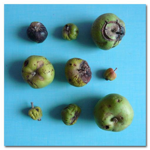 Inventaire Alimentaire |057|058|059|060|