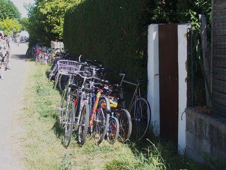 PISTE_CYCLABLE_MARCHE_ANDERNOS_AOUT_2009__2_