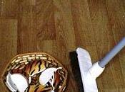 Morceaux d'oeuvre Théière Véronique Dubois