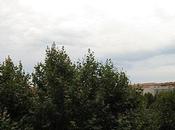 Souvent, temps varie.