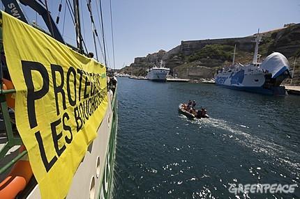Le Rainbow Warrior en Corse : une flottille pour protéger les Bouches de Bonifacio