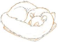 La saga de mes nuits – le Loir (de merde !)