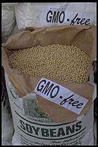 Le retour du soja non-OGM aux États-Unis?