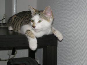 5416_1216849420424_1204505582_651018_5093072_n