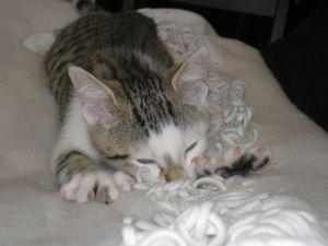 5416_1216849340422_1204505582_651016_4356305_n