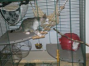 5736_1201756563112_1204505582_596254_3848213_n