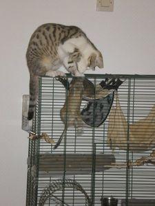 6216_1214079551179_1204505582_641870_4511474_n