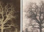 histoire photographie pionniers XIXe siècle