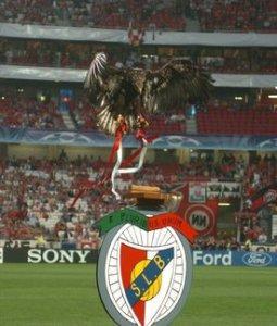 Benfica : record planétaire
