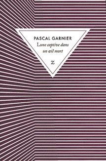 Lune captive dans un oeil mort de Pascal Garnier