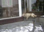 Craiova, l'autorité sent