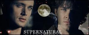 Supernatural-Banners-supernatural-1415700-500-200