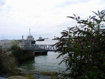 ce n'est que de l'eau, ce n'est...