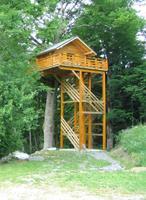 Offrez vous une nuit dans les arbres en louant une cabane perchée.